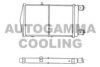 AUTOGAMMA 105392 Radiator, engine cooling